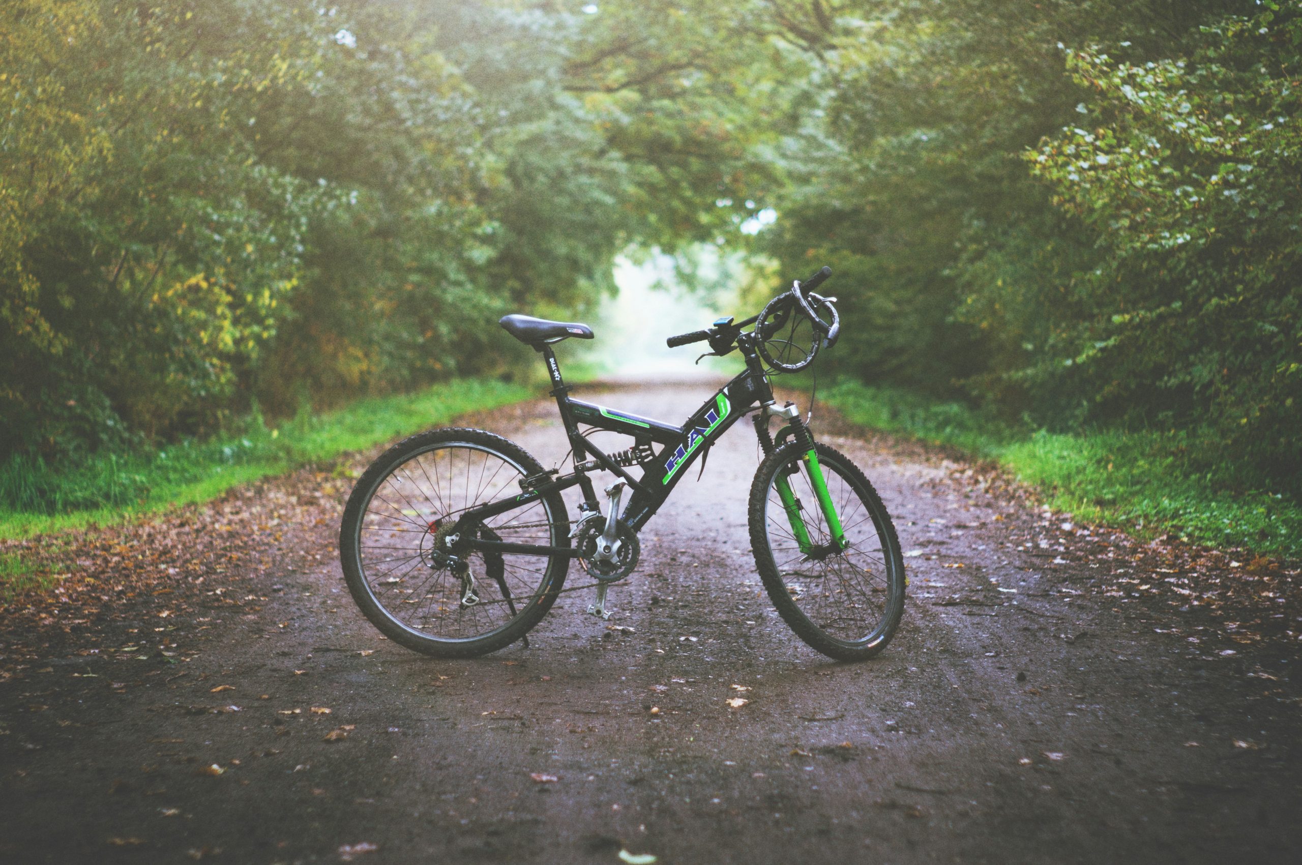 bike in trail